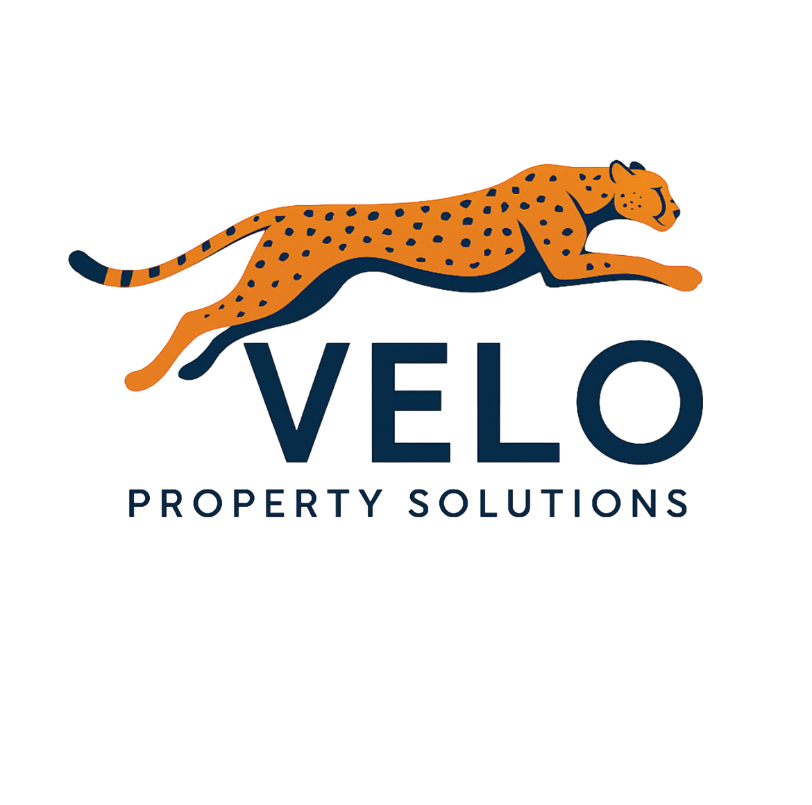 Velo Property Solutions